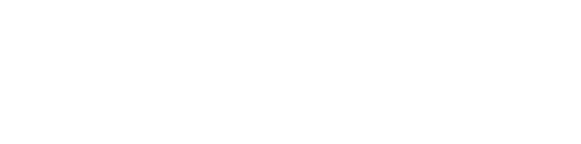 Active particle inside microchannel 